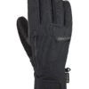 Dakine Leather Titan GORE-TEX Short Men's Gloves