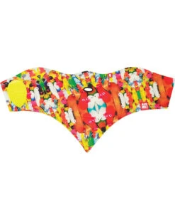 Airhole 2 Layer Standard Parrots Face Mask