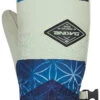 Dakine Team Fleetwood Women's Mittens