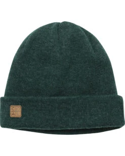 Coal The Harbor Beanie -Snow Board Store 5d52c88ac3cefb1015000058